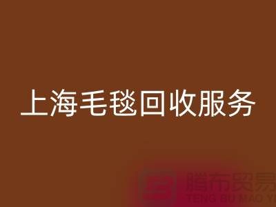 **什么类型的毛毯可以安博网_安博(中国)？**上海毛毯安博网_安博(中国)服务热线