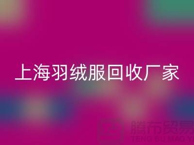 羽绒服安博网_安博(中国)：环保与经济的双重考量，上海厂家引领行业新风尚