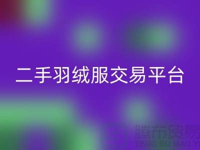 波司登羽绒服安博网_安博(中国)平台，二手羽绒服环保与时尚的完美结合