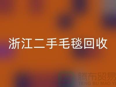 二手毛毯安博网_安博(中国)，旧物新生的【浙江，上海，江苏】绿色的库存之旅