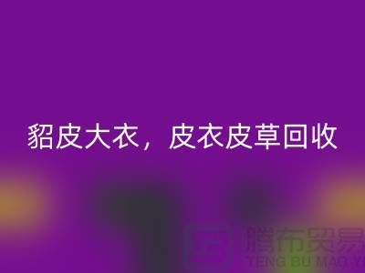 貂皮大衣安博网_安博(中国)，皮衣皮草安博网_安博(中国)，高档大衣安博网_安博(中国)-上海库存服装安博网_安博(中国)公司