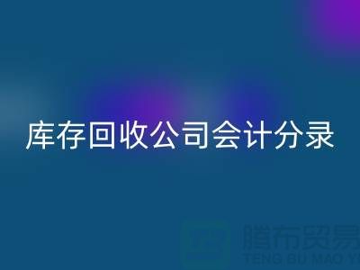 库存安博网_安博(中国)公司会计分录指南，确保财务准确性-义乌库存安博网_安博(中国)公司