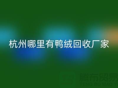 揭秘羽绒安博网_安博(中国)市场，每斤价值几何？杭州鸭绒安博网_安博(中国)厂家