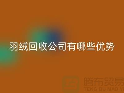 ### 上海羽绒安博网_安博(中国)公司优势解析：价格公道，服务优质