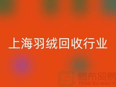 #### 上海羽绒安博网_安博(中国)厂家推动行业发展，展望未来，创新发展