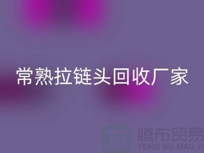 常熟拉链头安博网_安博(中国)：环保与经济的双赢之举-面料安博网_安博(中国)公司