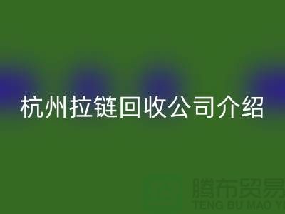 库存拉链安博网_安博(中国)市场前景分析——杭州拉链安博网_安博(中国)公司篇