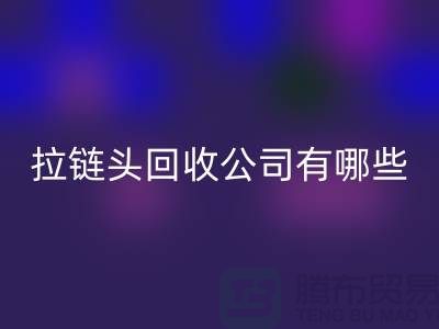 拉链头安博网_安博(中国)公司有哪些名字或者品牌-上海拉链安博网_安博(中国)市场