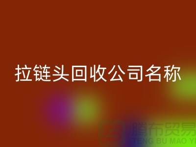 ### 拉链头安博网_安博(中国)公司名称的选择与品牌塑造-上海拉链安博网_安博(中国)厂家