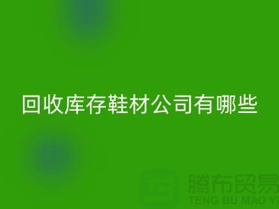 温州安博网_安博(中国)库存鞋材公司有哪些