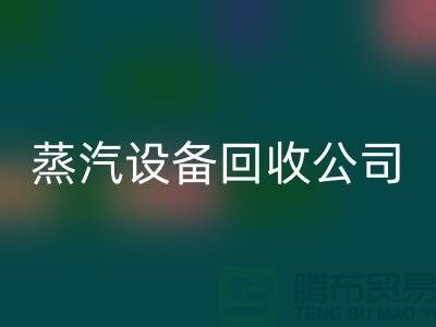 锅炉设备安博网_安博(中国)厂家：环保与经济效益的完美结合-蒸汽设备安博网_安博(中国)公司