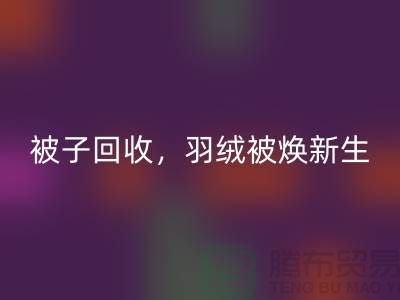 全新被子安博网_安博(中国)，羽绒被焕新生——江苏南通家纺城引领绿色未来