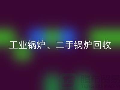 工业锅炉安博网_安博(中国)：环保与经济效益的完美结合-二手锅炉安博网_安博(中国)公司