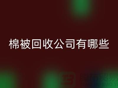 棉被安博网_安博(中国)公司有哪些—浙江库存面料安博网_安博(中国)厂家：环保与经济的双重助力