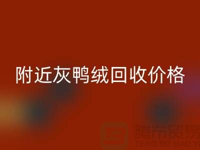 附近灰鸭绒安博网_安博(中国)价格多少钱一公斤？##上海腾布贸易