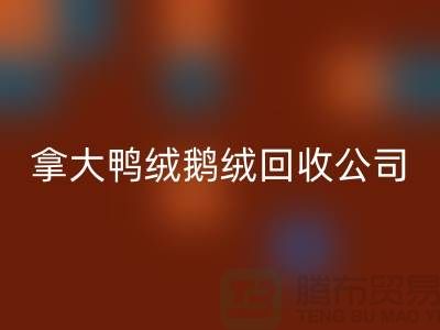 探秘加拿大鸭绒鹅绒安博网_安博(中国)公司：环保与品质的双重坚守