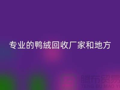 探索鸭绒安博网_安博(中国)：寻找上海专业的安博网_安博(中国)厂家与地方