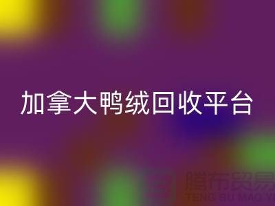 加拿大鸭绒安博网_安博(中国)平台有哪些公司，优势有哪些