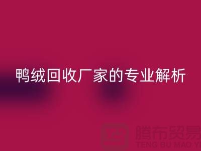 90%白鹅绒、90%白鸭绒与90%灰鸭绒：上海鸭绒安博网_安博(中国)厂家的专业解析
