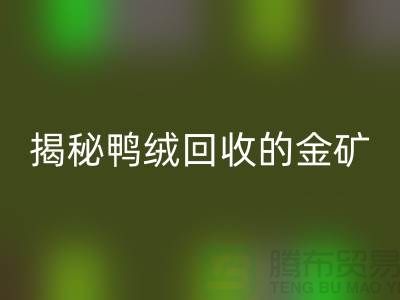 揭秘鸭绒安博网_安博(中国)的金矿，一年能挣多少钱？上海羽绒安博网_安博(中国)厂家