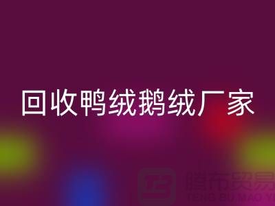 探寻高品质安博网_安博(中国)鸭绒鹅绒厂家