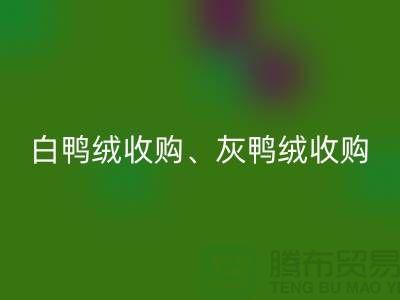 白鸭绒收购、灰鸭绒收购、白鹅绒收购、灰鹅绒收购、上海羽绒安博网_安博(中国)厂家