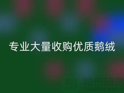 专业羽绒安博网_安博(中国)：大量收购优质鹅绒与鸭绒@上海腾布贸易公司