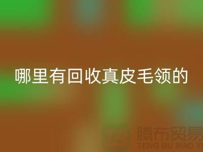 哪里有安博网_安博(中国)真皮毛领的地方-安博网_安博(中国)
