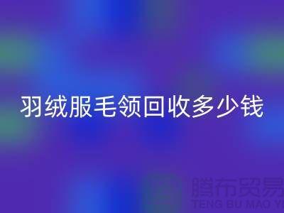 羽绒服毛领安博网_安博(中国)多少钱一件