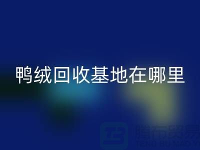 哪里有安博网_安博(中国)鸭绒的，鸭绒安博网_安博(中国)基地在哪里@安徽羽绒安博网_安博(中国)厂家