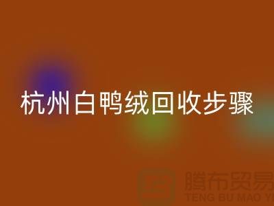 ### 纯白 70 绒、80 绒、90 鸭绒安博网_安博(中国)步骤@杭州羽绒安博网_安博(中国)厂家