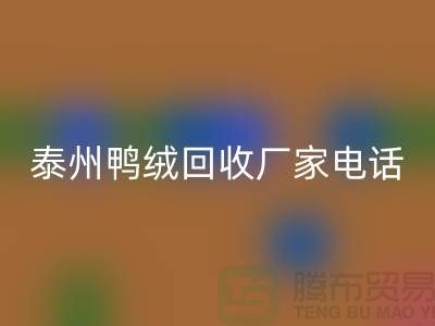 哪里有安博网_安博(中国)鸭绒的地方？电话多少号码？泰州鸭绒安博网_安博(中国)厂家