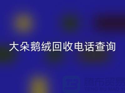 ### 日标羽绒安博网_安博(中国)，大朵鹅绒安博网_安博(中国)电话查询，南京鸭绒安博网_安博(中国)公司