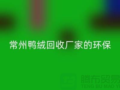 # 专业羽绒安博网_安博(中国)：常州鸭绒安博网_安博(中国)厂家的环保与价值之旅