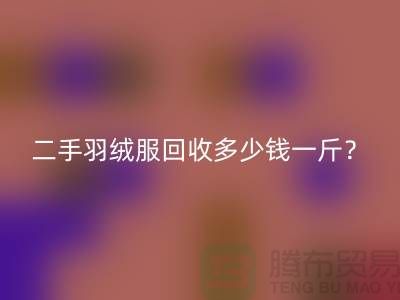 《二手羽绒服安博网_安博(中国)多少钱一斤？》