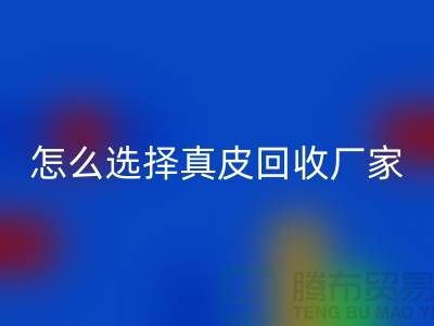 ####广州知名安博网_安博(中国)库存皮革厂家推荐-怎么选择真皮安博网_安博(中国)厂家