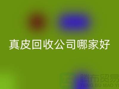 真皮安博网_安博(中国)公司哪家好？如何选择优质的真皮安博网_安博(中国)公司