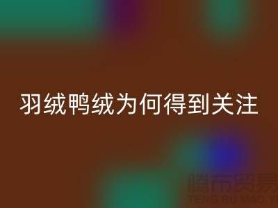 羽绒鸭绒安博网_安博(中国)公司为何得到所有人关注_安博网_安博(中国)