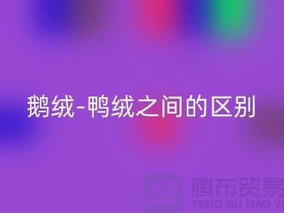 关于鹅绒-鸭绒之间的区别-鹅绒安博网_安博(中国)-鸭绒安博网_安博(中国)-羽绒安博网_安博(中国)厂家