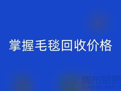 掌握毛毯安博网_安博(中国)价格，让旧物焕发新生价值-南通家纺库存安博网_安博(中国)厂家