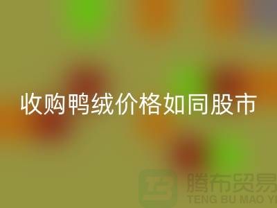 收购鸭绒价格如同股市一样飘泊不定-郑州库存鸭绒安博网_安博(中国)厂家