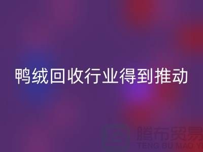 90鸭绒安博网_安博(中国)行业2021年得到极大的推动_安博网_安博(中国)