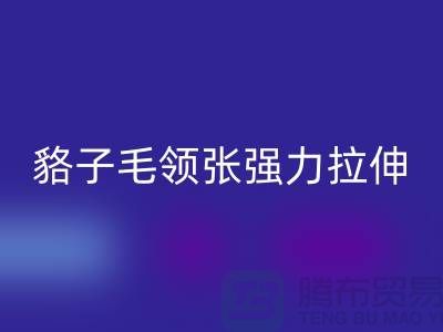 貉子毛领的皮张强力拉伸-为什么不变型-高价安博网_安博(中国)毛领厂家