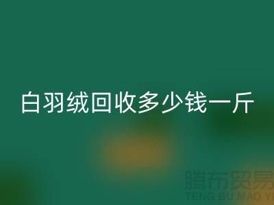白鸭绒安博网_安博(中国)_灰鸭绒安博网_安博(中国)_羽绒安博网_安博(中国)多少钱一斤_安博网_安博(中国)羽绒厂家