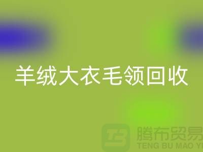 羊绒大衣毛领安博网_安博(中国)_真皮狐狸毛领安博网_安博(中国)_安博网_安博(中国)