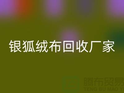 银狐绒布安博网_安博(中国)厂家：让旧衣物焕发新生-服装面料安博网_安博(中国)公司