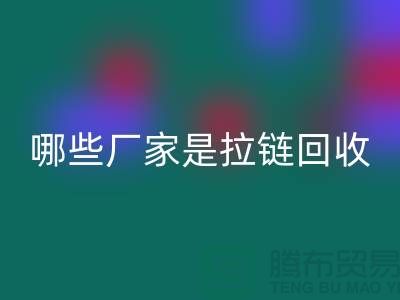 哪些厂家是拉链安博网_安博(中国)的领导者-库存拉链安博网_安博(中国)厂家排名榜