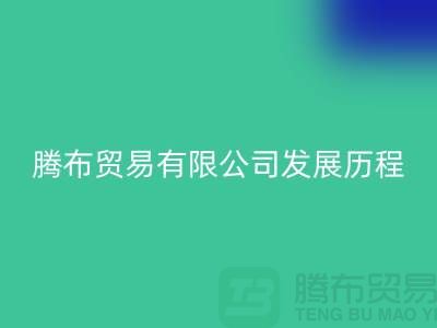安博网_安博(中国)发展历程
