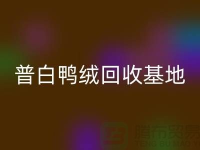 普白鸭绒安博网_安博(中国)基地：环保与经济的完美结合-纯白鹅绒安博网_安博(中国)厂家