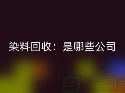 直接染料安博网_安博(中国)：哪些公司是行业的领头羊？-化工染料安博网_安博(中国)厂家